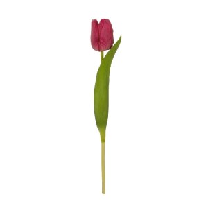 glo-21201-21201_2.webp GLOBOSTAR® ARTIFICIAL GARDEN HOT PINK TULIP BRANCH 21201 ΤΕΧΝΗΤΟ ΔΙΑΚΟΣΜΗΤΙΚΟ ΚΛΑΔΙ ΕΝΤΟΝΟ