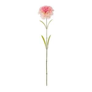 glo-21209-21209_2.webp GLOBOSTAR® ARTIFICIAL GARDEN PING CARNATION BRANCH 21209 ΤΕΧΝΗΤΟ ΔΙΑΚΟΣΜΗΤΙΚΟ ΚΛΑΔΙ ΓΑΡΙΦΑ