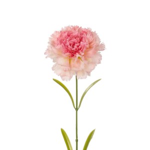 glo-21209-21209_3.webp GLOBOSTAR® ARTIFICIAL GARDEN PING CARNATION BRANCH 21209 ΤΕΧΝΗΤΟ ΔΙΑΚΟΣΜΗΤΙΚΟ ΚΛΑΔΙ ΓΑΡΙΦΑ