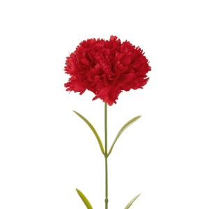 glo-21210-21210_3.webp GLOBOSTAR® ARTIFICIAL GARDEN RED CARNATION BRANCH 21210 ΤΕΧΝΗΤΟ ΔΙΑΚΟΣΜΗΤΙΚΟ ΚΛΑΔΙ ΓΑΡΙΦΑΛ