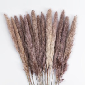 glo-21215-21215_3 GLOBOSTAR® ARTIFICIAL GARDEN REAL DRIED BROWN PAMPAS GRASS BUNCH 21215 ΑΠΟΞΗΡΑΜΕΝΟ ΔΙΑΚΟΣΜ