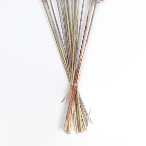 glo-21215-21215_4 GLOBOSTAR® ARTIFICIAL GARDEN REAL DRIED BROWN PAMPAS GRASS BUNCH 21215 ΑΠΟΞΗΡΑΜΕΝΟ ΔΙΑΚΟΣΜ