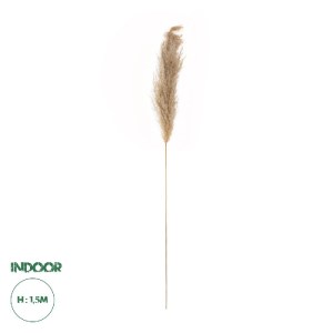 glo-21217-21217_0.webp GLOBOSTAR® ARTIFICIAL GARDEN PAMPAS GRASS 21217 ΑΠΟΞΗΡΑΜΕΝΟ ΔΙΑΚΟΣΜΗΤΙΚΟ ΓΡΑΣΙΔΙ ΠΑΜΠΑΣ Μ1