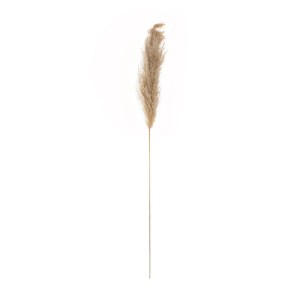 glo-21217-21217_2.webp GLOBOSTAR® ARTIFICIAL GARDEN PAMPAS GRASS 21217 ΑΠΟΞΗΡΑΜΕΝΟ ΔΙΑΚΟΣΜΗΤΙΚΟ ΓΡΑΣΙΔΙ ΠΑΜΠΑΣ Μ1