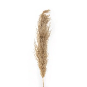 glo-21217-21217_3.webp GLOBOSTAR® ARTIFICIAL GARDEN PAMPAS GRASS 21217 ΑΠΟΞΗΡΑΜΕΝΟ ΔΙΑΚΟΣΜΗΤΙΚΟ ΓΡΑΣΙΔΙ ΠΑΜΠΑΣ Μ1