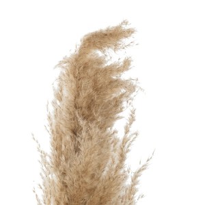 glo-21217-21217_4.webp GLOBOSTAR® ARTIFICIAL GARDEN PAMPAS GRASS 21217 ΑΠΟΞΗΡΑΜΕΝΟ ΔΙΑΚΟΣΜΗΤΙΚΟ ΓΡΑΣΙΔΙ ΠΑΜΠΑΣ Μ1