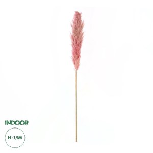 glo-21218-21218_0.webp GLOBOSTAR® ARTIFICIAL GARDEN PAMPAS GRASS 21218 ΑΠΟΞΗΡΑΜΕΝΟ ΔΙΑΚΟΣΜΗΤΙΚΟ ΓΡΑΣΙΔΙ ΠΑΜΠΑΣ Μ1