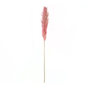 glo-21218-21218_2.webp GLOBOSTAR® ARTIFICIAL GARDEN PAMPAS GRASS 21218 ΑΠΟΞΗΡΑΜΕΝΟ ΔΙΑΚΟΣΜΗΤΙΚΟ ΓΡΑΣΙΔΙ ΠΑΜΠΑΣ Μ1