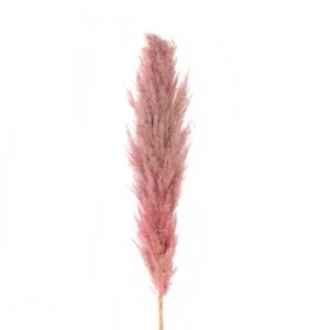 glo-21218-21218_3.webp GLOBOSTAR® ARTIFICIAL GARDEN PAMPAS GRASS 21218 ΑΠΟΞΗΡΑΜΕΝΟ ΔΙΑΚΟΣΜΗΤΙΚΟ ΓΡΑΣΙΔΙ ΠΑΜΠΑΣ Μ1
