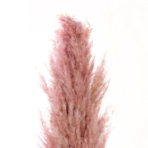 glo-21218-21218_4.webp GLOBOSTAR® ARTIFICIAL GARDEN PAMPAS GRASS 21218 ΑΠΟΞΗΡΑΜΕΝΟ ΔΙΑΚΟΣΜΗΤΙΚΟ ΓΡΑΣΙΔΙ ΠΑΜΠΑΣ Μ1
