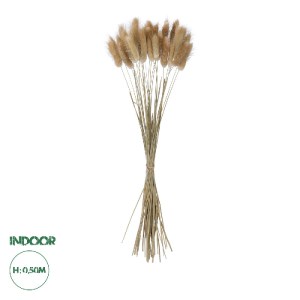 glo-21219-21219_0 GLOBOSTAR® ARTIFICIAL GARDEN REAL DRIED BEIGE WHEAT BUNCH  21219 ΑΠΟΞΗΡΑΜΕΝΟ ΔΙΑΚΟΣΜΗΤΙΚΟ 