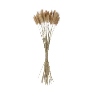 glo-21219-21219_2 GLOBOSTAR® ARTIFICIAL GARDEN REAL DRIED BEIGE WHEAT BUNCH  21219 ΑΠΟΞΗΡΑΜΕΝΟ ΔΙΑΚΟΣΜΗΤΙΚΟ 