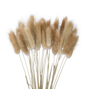glo-21219-21219_3 GLOBOSTAR® ARTIFICIAL GARDEN REAL DRIED BEIGE WHEAT BUNCH  21219 ΑΠΟΞΗΡΑΜΕΝΟ ΔΙΑΚΟΣΜΗΤΙΚΟ 
