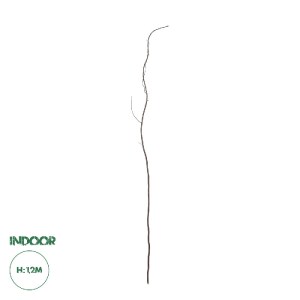 glo-21220-21220_0 GLOBOSTAR® ARTIFICIAL GARDEN REAL DRIED WITHERED VINE STEM 21220 ΤΕΧΝΗΤΟ ΔΙΑΚΟΣΜΗΤΙΚΟ ΚΛΑΔ