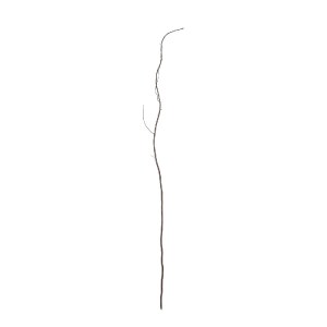 glo-21220-21220_2 GLOBOSTAR® ARTIFICIAL GARDEN REAL DRIED WITHERED VINE STEM 21220 ΤΕΧΝΗΤΟ ΔΙΑΚΟΣΜΗΤΙΚΟ ΚΛΑΔ