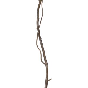 glo-21220-21220_3 GLOBOSTAR® ARTIFICIAL GARDEN REAL DRIED WITHERED VINE STEM 21220 ΤΕΧΝΗΤΟ ΔΙΑΚΟΣΜΗΤΙΚΟ ΚΛΑΔ