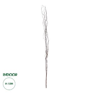 glo-21221-21221_0 GLOBOSTAR® ARTIFICIAL GARDEN REAL DRIED WITHERED VINE STEM 21221 ΤΕΧΝΗΤΟ ΔΙΑΚΟΣΜΗΤΙΚΟ ΚΛΑΔ