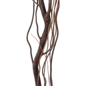 glo-21221-21221_3 GLOBOSTAR® ARTIFICIAL GARDEN REAL DRIED WITHERED VINE STEM 21221 ΤΕΧΝΗΤΟ ΔΙΑΚΟΣΜΗΤΙΚΟ ΚΛΑΔ