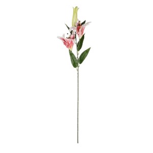 glo-21313-21313_2.webp GLOBOSTAR® ARTIFICIAL GARDEN PINK LILLY BRANCH 21313 ΤΕΧΝΗΤΟ ΔΙΑΚΟΣΜΗΤΙΚΟ ΚΛΑΔΙ ΡΟΖ ΚΡΙΝΟ 