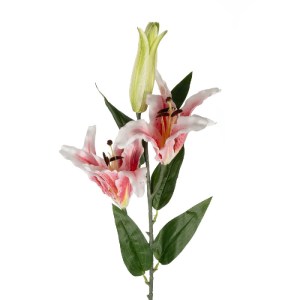 glo-21313-21313_3.webp GLOBOSTAR® ARTIFICIAL GARDEN PINK LILLY BRANCH 21313 ΤΕΧΝΗΤΟ ΔΙΑΚΟΣΜΗΤΙΚΟ ΚΛΑΔΙ ΡΟΖ ΚΡΙΝΟ 