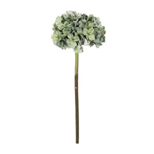 glo-21316-21316_2.webp GLOBOSTAR® ARTIFICIAL GARDEN GREEN HYDRANGEA BRANCH 21316 ΤΕΧΝΗΤΟ ΔΙΑΚΟΣΜΗΤΙΚΟ ΚΛΑΔΙ ΠΡΑΣΙ
