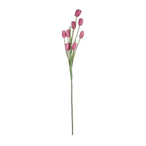 glo-21319-21319_2.webp GLOBOSTAR® ARTIFICIAL GARDEN PINK TULIP BRANCH 21319 ΤΕΧΝΗΤΟ ΔΙΑΚΟΣΜΗΤΙΚΟ ΚΛΑΔΙ ΡΟΖ ΤΟΥΛΙΠ