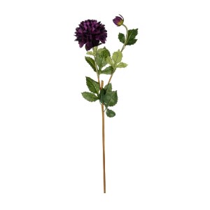 glo-21323-21323_2.webp GLOBOSTAR® ARTIFICIAL GARDEN PURPLE DHALIA BRANCH 21323 ΤΕΧΝΗΤΟ ΔΙΑΚΟΣΜΗΤΙΚΟ ΜΩΒ ΚΛΑΔΙ ΝΤΑ