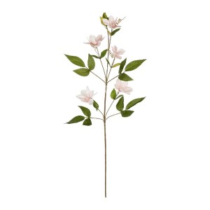 glo-21332-21332_2.webp GLOBOSTAR® ARTIFICIAL GARDEN PALE PINK CLEMANTIS BRANCH 21332 ΤΕΧΝΗΤΟ ΔΙΑΚΟΣΜΗΤΙΚΟ ΚΛΑΔΙ Ρ
