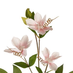 glo-21332-21332_3.webp GLOBOSTAR® ARTIFICIAL GARDEN PALE PINK CLEMANTIS BRANCH 21332 ΤΕΧΝΗΤΟ ΔΙΑΚΟΣΜΗΤΙΚΟ ΚΛΑΔΙ Ρ