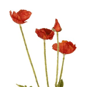 glo-21333-21333_3.webp GLOBOSTAR® ARTIFICIAL GARDEN RED POPPY BRANCH 21333 ΤΕΧΝΗΤΟ ΔΙΑΚΟΣΜΗΤΙΚΟ ΚΛΑΔΙ ΠΑΠΑΡΟΥΝΑ Κ