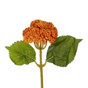 glo-21338-21338_3.webp GLOBOSTAR® ARTIFICIAL GARDEN ORANGE SEDUM BRANCH 21338 ΤΕΧΝΗΤΟ ΔΙΑΚΟΣΜΗΤΙΚΟ ΚΛΑΔΙ ΠΟΡΤΟΚΑΛ