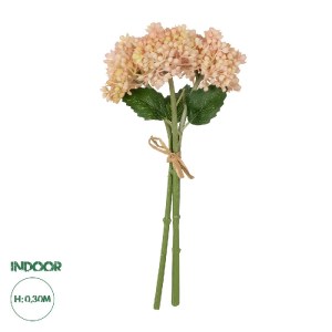 glo-21355-21355_0.webp GLOBOSTAR® ARTIFICIAL GARDEN SALMON PINK HYACINTH BOUQUET 21355 ΤΕΧΝΗΤΟ ΔΙΑΚΟΣΜΗΤΙΚΟ ΜΠΟΥΚ