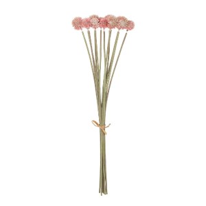 glo-21359-21359_2.webp GLOBOSTAR® ARTIFICIAL GARDEN PINK DANDELION BOUQET 21359 ΤΕΧΝΗΤΟ ΔΙΑΚΟΣΜΗΤΙΚΟ ΤΑΡΑΞΑΚΟ ΜΠΟ
