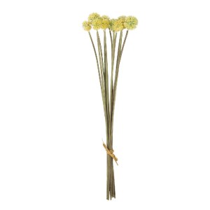glo-21363-21363_2.webp GLOBOSTAR® ARTIFICIAL GARDEN PALE YELLOW DANDELION BOUQET 21363 ΤΕΧΝΗΤΟ ΔΙΑΚΟΣΜΗΤΙΚΟ ΤΑΡΑΞ