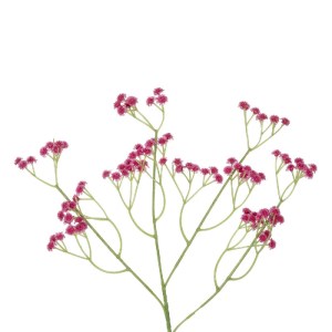 glo-21368-21368_3.webp GLOBOSTAR® ARTIFICIAL GARDEN PINK BRANCH BABY BREATH 21368 ΤΕΧΝΗΤΟ ΔΙΑΚΟΣΜΗΤΙΚΟ ΚΛΑΔΙ ΡΟΖ 