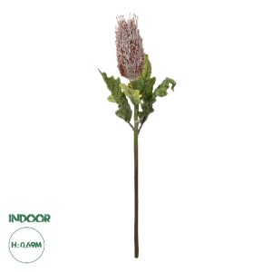 glo-21375-21375_0.webp GLOBOSTAR® ARTIFICIAL GARDEN PURPLE STUPA FRUIT BRANCH 21375 ΤΕΧΝΗΤΟ ΔΙΑΚΟΣΜΗΤΙΚΟ ΚΛΑΔΙ ΣΤ