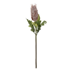 glo-21375-21375_2.webp GLOBOSTAR® ARTIFICIAL GARDEN PURPLE STUPA FRUIT BRANCH 21375 ΤΕΧΝΗΤΟ ΔΙΑΚΟΣΜΗΤΙΚΟ ΚΛΑΔΙ ΣΤ
