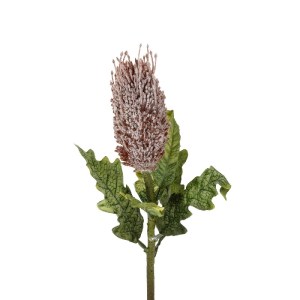 glo-21375-21375_3.webp GLOBOSTAR® ARTIFICIAL GARDEN PURPLE STUPA FRUIT BRANCH 21375 ΤΕΧΝΗΤΟ ΔΙΑΚΟΣΜΗΤΙΚΟ ΚΛΑΔΙ ΣΤ