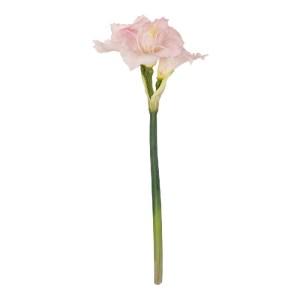 glo-21390-21390_2.webp GLOBOSTAR® ARTIFICIAL GARDEN PINK KAFFIR LILY BRANCH 21390 ΤΕΧΝΗΤΟ ΔΙΑΚΟΣΜΗΤΙΚΟ ΚΛΑΔΙ ΡΟΖ 