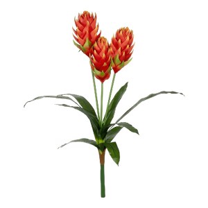 glo-21391-21391_2.webp GLOBOSTAR® ARTIFICIAL GARDEN RED MOON PEACH BRANCH 21391 ΤΕΧΝΗΤΟ ΔΙΑΚΟΣΜΗΤΙΚΟ ΚΟΚΚΙΝΟ ΚΛΑΔ