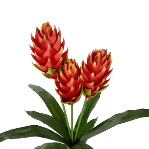 glo-21391-21391_3.webp GLOBOSTAR® ARTIFICIAL GARDEN RED MOON PEACH BRANCH 21391 ΤΕΧΝΗΤΟ ΔΙΑΚΟΣΜΗΤΙΚΟ ΚΟΚΚΙΝΟ ΚΛΑΔ