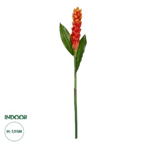 glo-21392-21392_0.webp GLOBOSTAR® ARTIFICIAL GARDEN RED MOON PEACH BRANCH 21392 ΤΕΧΝΗΤΟ ΔΙΑΚΟΣΜΗΤΙΚΟ ΚΟΚΚΙΝΟ ΚΛΑΔ