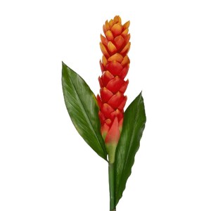 glo-21392-21392_3.webp GLOBOSTAR® ARTIFICIAL GARDEN RED MOON PEACH BRANCH 21392 ΤΕΧΝΗΤΟ ΔΙΑΚΟΣΜΗΤΙΚΟ ΚΟΚΚΙΝΟ ΚΛΑΔ