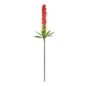glo-21393-21393_2.webp GLOBOSTAR® ARTIFICIAL GARDEN RED GINGER BUD BRANCH 21393 ΤΕΧΝΗΤΟ ΔΙΑΚΟΣΜΗΤΙΚΟ ΚΟΚΚΙΝΟ ΚΛΑΔ