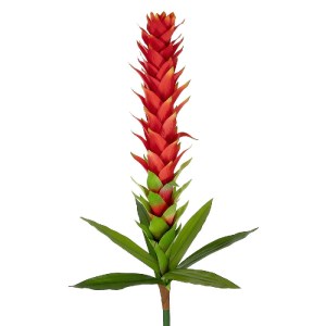 glo-21393-21393_3.webp GLOBOSTAR® ARTIFICIAL GARDEN RED GINGER BUD BRANCH 21393 ΤΕΧΝΗΤΟ ΔΙΑΚΟΣΜΗΤΙΚΟ ΚΟΚΚΙΝΟ ΚΛΑΔ