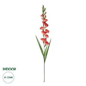 glo-21396-21396_0.webp GLOBOSTAR® ARTIFICIAL GARDEN RED GLADIOLUS FLOWER BRANCH 21396 ΤΕΧΝΗΤΟ ΔΙΑΚΟΣΜΗΤΙΚΟ ΚΛΑΔΙ 