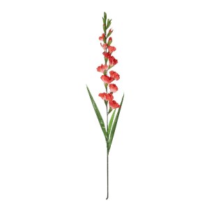 glo-21396-21396_2.webp GLOBOSTAR® ARTIFICIAL GARDEN RED GLADIOLUS FLOWER BRANCH 21396 ΤΕΧΝΗΤΟ ΔΙΑΚΟΣΜΗΤΙΚΟ ΚΛΑΔΙ 