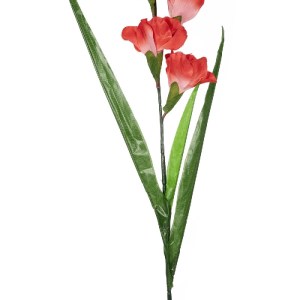 glo-21396-21396_4.webp GLOBOSTAR® ARTIFICIAL GARDEN RED GLADIOLUS FLOWER BRANCH 21396 ΤΕΧΝΗΤΟ ΔΙΑΚΟΣΜΗΤΙΚΟ ΚΛΑΔΙ 