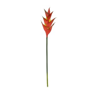 glo-21398-21398_2.webp GLOBOSTAR® ARTIFICIAL GARDEN RED PEACOCK BRANCH 21398 ΤΕΧΝΗΤΟ ΔΙΑΚΟΣΜΗΤΙΚΟ ΚΛΑΔΙ ΚΟΚΚΙΝΟ Π