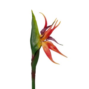 glo-21399-21399_3.webp GLOBOSTAR® ARTIFICIAL GARDEN ORANGE STELIZIA BRANCH 21399 ΤΕΧΝΗΤΟ ΔΙΑΚΟΣΜΗΤΙΚΟ ΚΛΑΔΙ  ΠΟΡΤ
